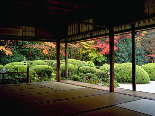 Japanese Garden